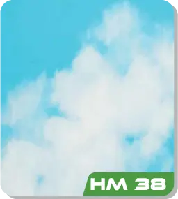 HM 38